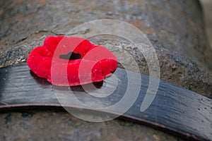 Red Poppy Close-Up On Cannon Gun Barrel