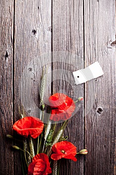 Red poppy flower and rye on old wood with scratches