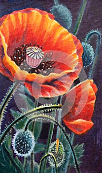 Red poppy flowers acrylic artistic handmade watercolor painting on black