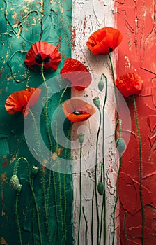 Red poppy flowers on background with Italy flag. Liberation day holiday. Festa della liberazione