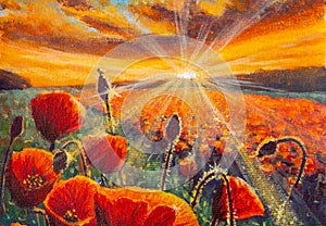 Red poppy flowers field sunset sun rays