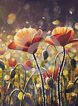 Red poppy flowers field sunset sun rays acrylic artistic handmade watercolor painting background. red wildflowers poppy paint art