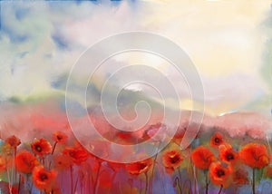 Red poppy flowers .Watercolor painting