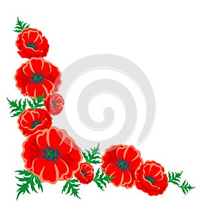 Red poppy illustration. Vector left corner flower frame on white.