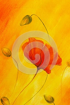 Red poppy on orange background. Red poppies. Red flower on abstract color background