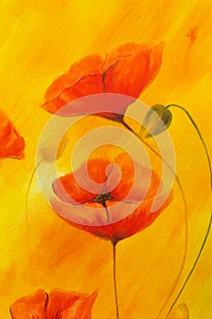 Red poppy on orange background. Red poppies. Red flower on abstract color background