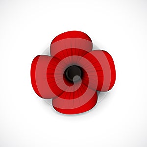 Red poppy remembrance day