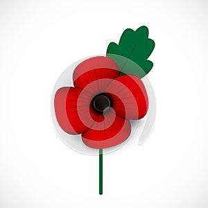 Red poppy remembrance day