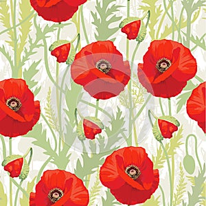 Red poppy - seamless pattern