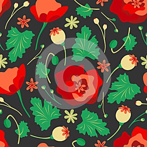 Red poppy vector on black background. Floral seamless pattern vector