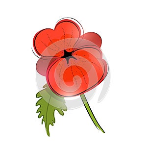 Red Poppy Vector