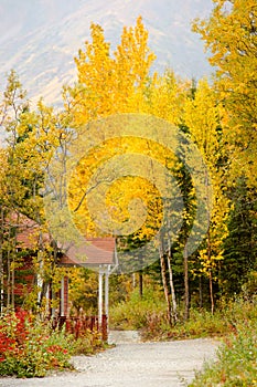 Red Porch Yellow Leaves Autumn Fall Season Alaska