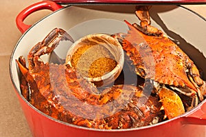 Red pot full of colossal chesapeake blue claw crabs