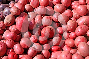 Red Potatoes