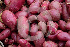 Red Potatoes