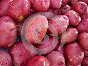 Red Potatoes