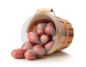Red Potatoes in a Basket