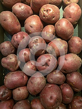 Red Potatoes on display