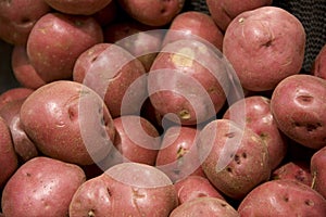 Red potatoes in grocery store