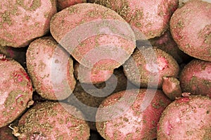 Red potatos