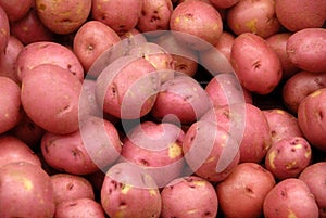 Red Potatos