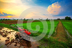Red power tiller in rice field