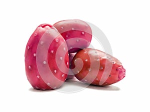 Red prickly pear Xoconostle Opuntia joconostle