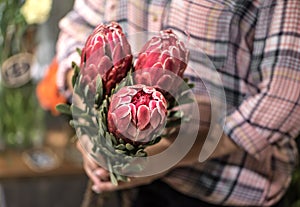 Red Proteus exotic flower in a flower shop