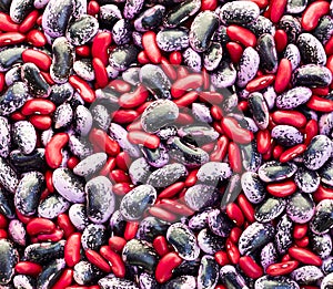 Red with purple haricot kidney beans background texture