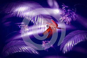 Red purple natural background. Ultraviolet fern leaves, flowers and dragonfly. 2018 year fashionable color