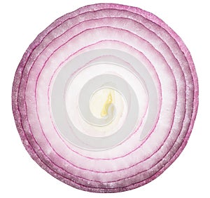 Red or purple onion slice isolated