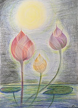 Red purple and yellow lotus under full moon, hand-drawn three lotus