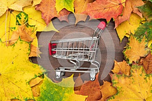 Red pushcart in the centre of autumn leaves frame. fall sale season concept