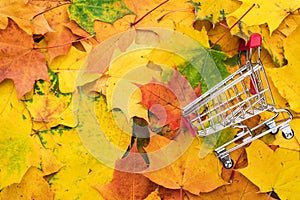 Red pushcart over colorful autumn leaves background. fall sale season concept