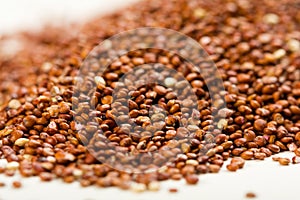 Red Quinoa