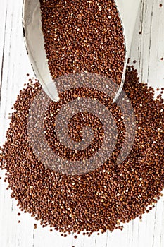 Red Quinoa