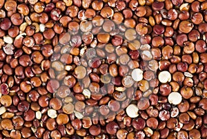 Red Quinoa