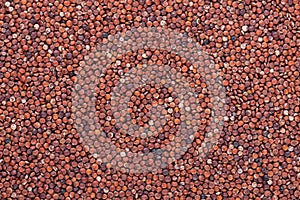 Red quinoa seeds background. Pile of raw kinwa. Top view.