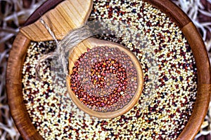 Red quinoa seeds in funny wooden spoon on a mixed quinoa seeds background