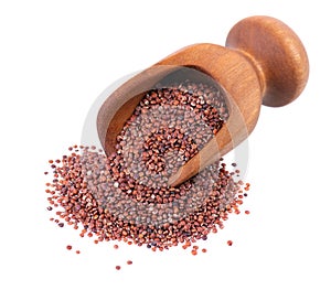 Red quinoa seeds in wooden scoop, isolated on white background. Pile of raw kinwa.