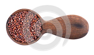 Red quinoa seeds in wooden spoon, isolated on white background. Pile of raw kinwa. Top view.