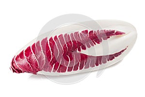 Red radicchio