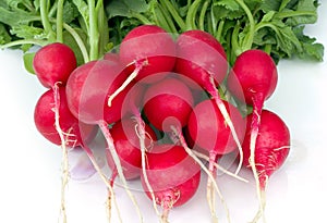 Red Radish