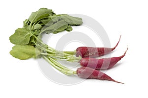 Red Radish