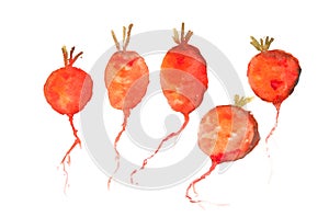 Red Radish Art