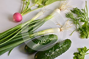 Red radish with green leaves, dill with parsley, onions and cucumbers on white