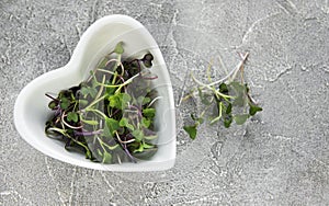 Red radish microgreens on a concrete table