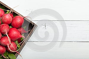 Red radish root plant. Wooden board, agriculture background. Copy space for text