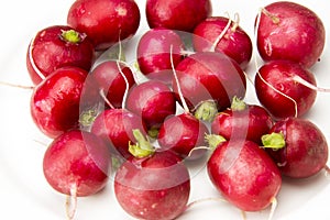 Red radish