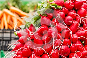 Red radishes background